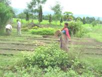 RCDP – Nepal 's Environmental Program 8