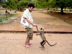 Volunteer Accommodation in Sri Lanka