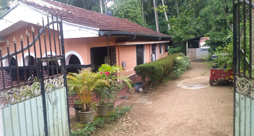Pinnawala Elephant Project Accommodation Room