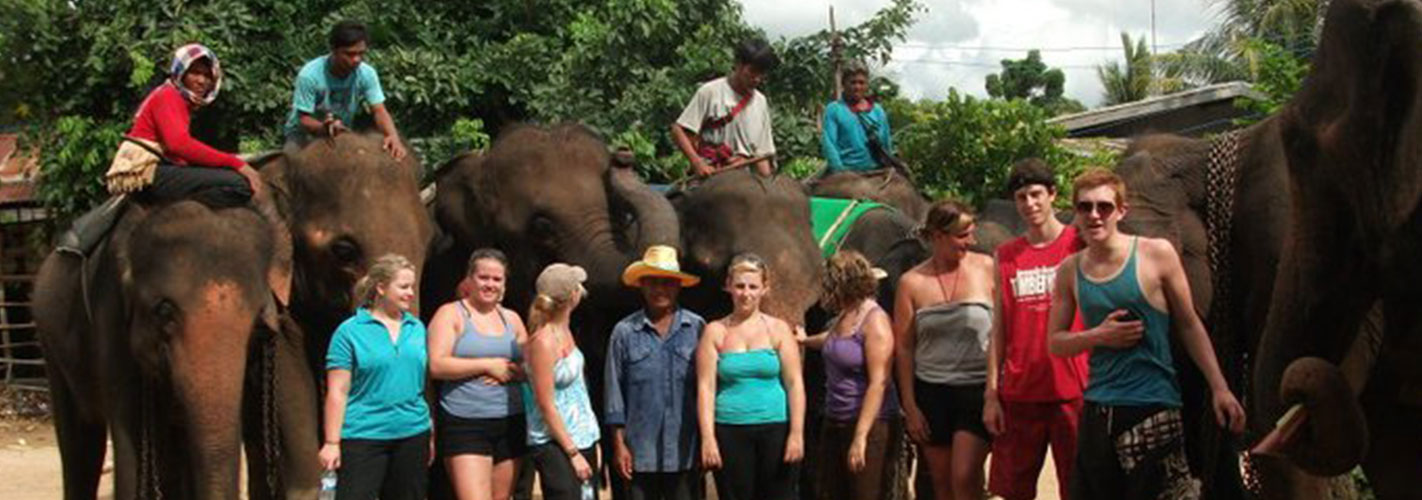 elephant thailand
